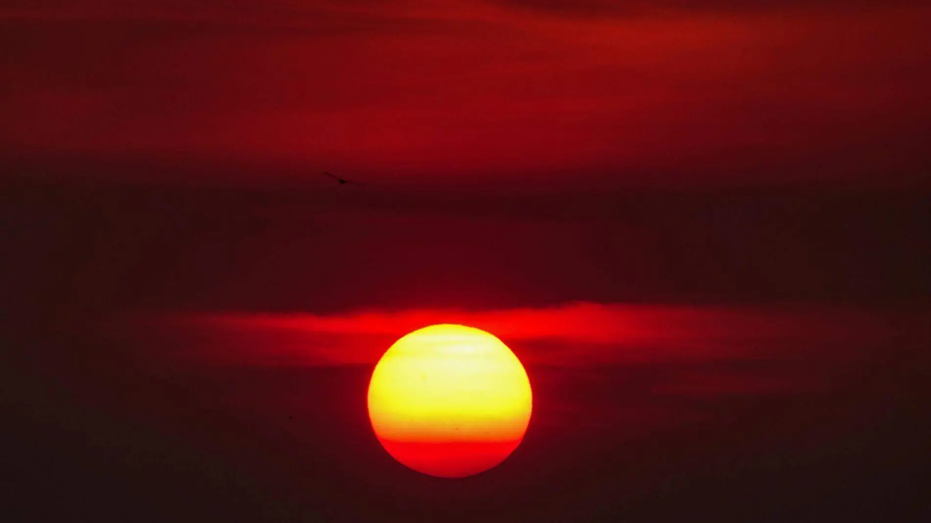 ¿Golpe de calor o agotamiento por calor?; síntomas y qué hacer